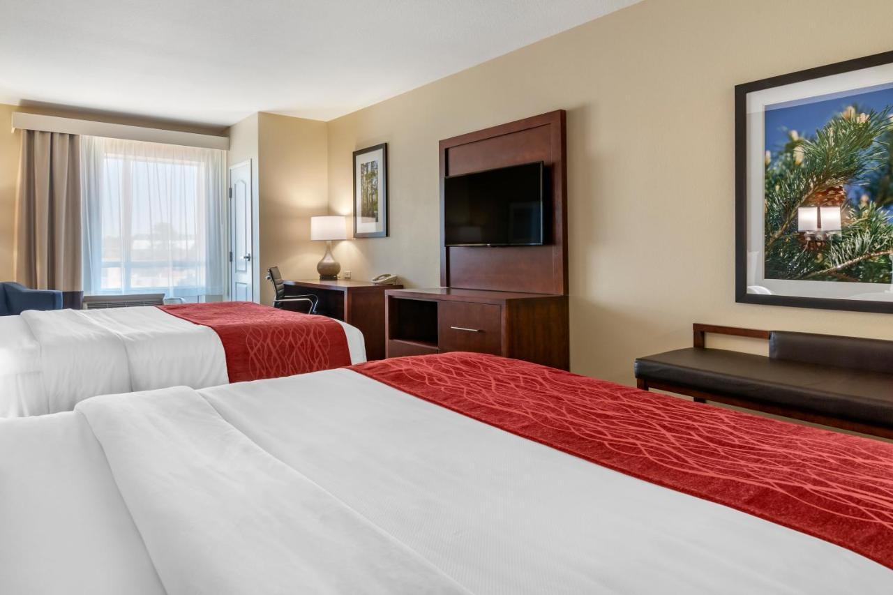 Comfort Inn & Suites Tifton Kamer foto